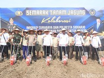 Imigrasi Surabaya-Polresta Sidoarjo Tanam Jagung Dukung Ketahanan Pangan