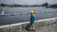 PLTS terapung Tambaklorok memiliki kapasitas sebesar 561,60 kilowatt peak (kWp). Dari kapasitas tersebut, pembangkit ini mampu menghasilkan energi bersih hingga 787.400,60 kilowatt jam (kWh) per tahun, jumlah yang cukup untuk menerangi ratusan rumah tangga secara berkelanjutan tanpa emisi karbon. ANTARA FOTO/Aprillio Akbar