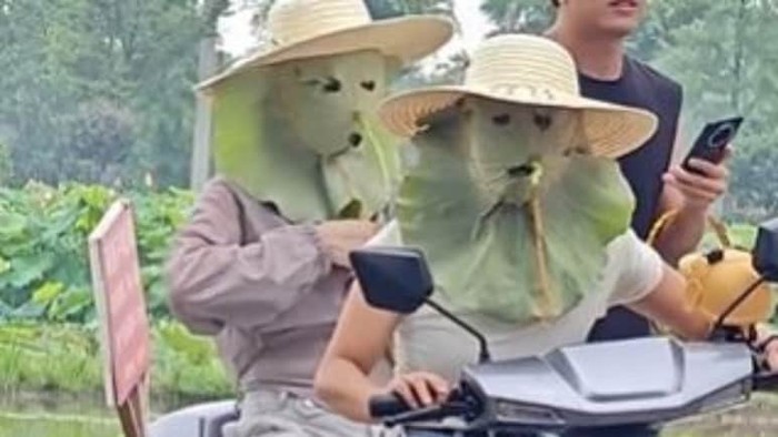Masker daun lotus viral