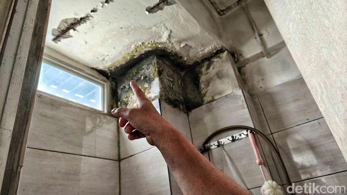 Tanda-tanda Dinding Rembes, Hati-hati Bisa Muncul Black Mold