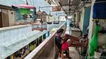 Tengok Kondisi Rusun Muara Baru yang Makin Memprihatinkan