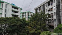Selain dinding yang retak, cat bangunan tampak kusam dan mulai memudar, menambah kesan kumuh pada rusun yang dulunya dibangun dengan harapan menjadi solusi permukiman layak.  