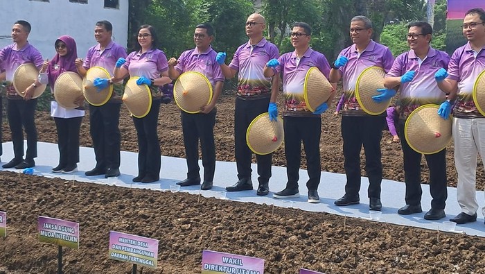 Mendes-Gubernur Banten-Jamintel Tanam Bawang Bersama