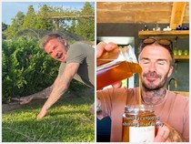 Pesona David Beckham Saat Panen Wortel hingga Jadi Peternak Lebah