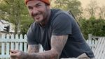 Pesona David Beckham Saat Panen Wortel hingga Jadi Peternak Lebah