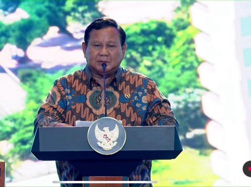 Prabowo Mau Genjot Energi Surya buat Terangi Desa-desa di RI
