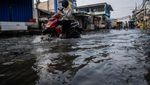 Rob Kepung Pesisir Jakarta, Warga Diminta Siaga!
