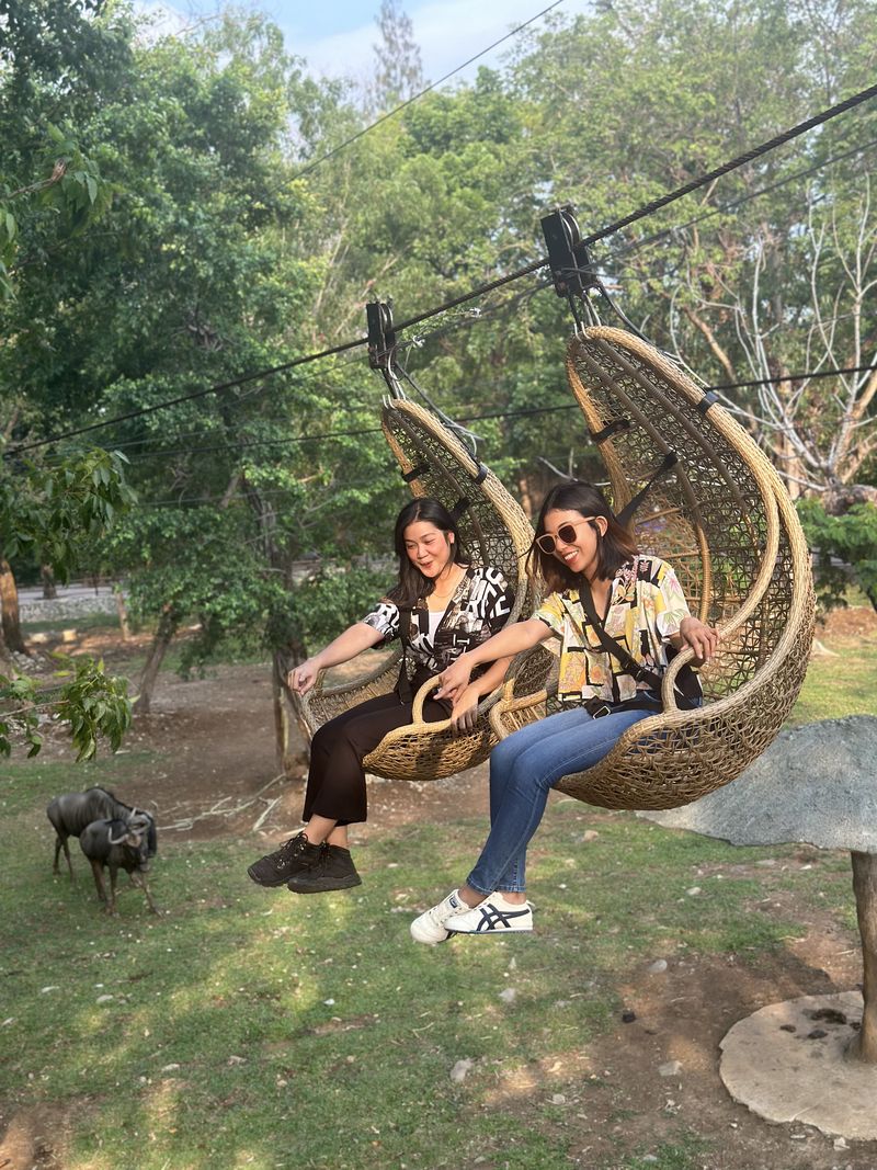 Solo Safari destinasi wisata edukasi satwa favorit dan pusat hiburan keluarga tengah kota Solo di Jawa Tengah tengah bersiap menyambut momen libur sekolah yang paling seru!