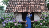 Pondok di tengah kebun Bunga