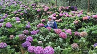 engunjung menikmati pemandangan dari atas Omah Kawi sambil makan siang