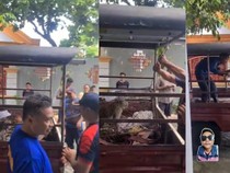 20 Kura-kura Peliharaan Warga Dimakan Monyet Liar yang Masuk Rumah