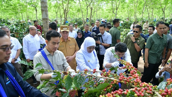 Wakil Presiden Gibran Rakabuming Raka