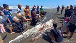 Foto Hiu Tutul Terdampar di Cilacap Saat Masih Utuh Lalu Dagingnya Jadi Rebutan