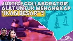 Prabowo Sahkan Aturan Justice Collaborator, Pakar Bahas Potensi Efeknya