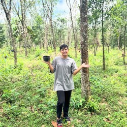 Segini Harga Kebun Karet Milik Jirayut di Thailand