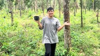 Saat mengisi Rumpi No Secret Trans TV kemarin, Jirayut bersyukur bisa punya aset kebun karet 8.000 meter persegi di Thailand. Ini penampakannya. (Foto: dok Instagram jirayutdaa4official)