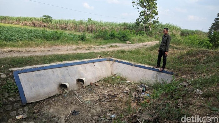 Kekeringan di lahan pertanian Desa Beringin, Kecamatan Pangenan