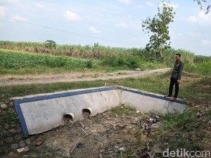Jeritan Petani Desa Beringin Cirebon gegara  5 Tahun Krisis Air
