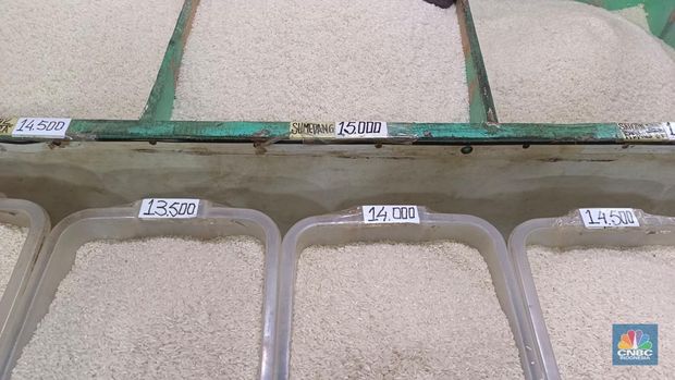 Pantauan harga beras di Pasar Rumput, Jakarta Selatan, Kamis (26/6/2025). (CNBC Indonesia/Martyasari Rizky)
