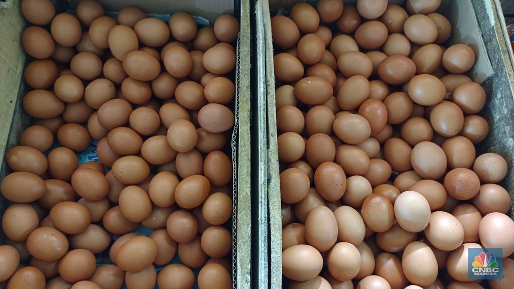 Pantauan harga daging ayam dan telur ayam di Pasar Rumput, Jakarta Selatan, Kamis (26/6/2025). (CNBC Indonesia/Martyasari Rizky)