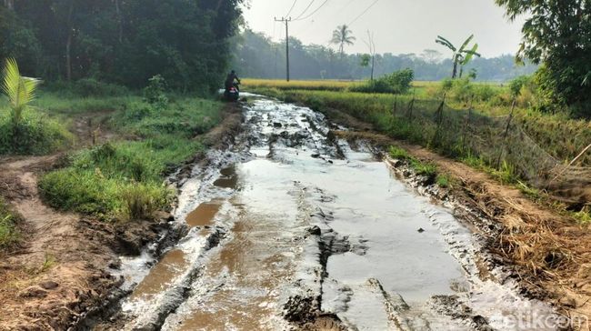 Pemerintah provinsi (Pemprov) Banten mulai mememperbaiki ruas jalan Cimoyan-Pasirgadung di Kecamatan Patia, Kabupaten Pandeglang, Banten. (Aris Rivaldo/detikcom)