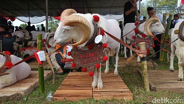 Pesta Patok 2025 di Tasikmalaya.