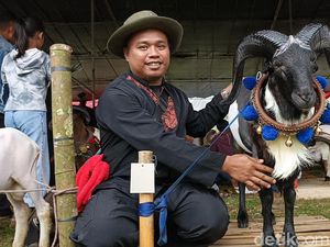 Pesta Patok Tasik, Ajang Adu Gagah yang Bisa Bikin Harga Domba Naik