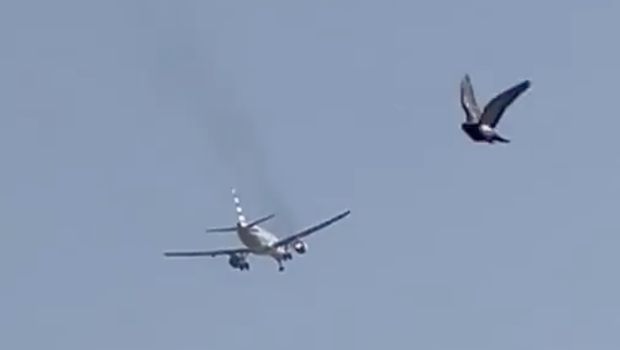 Sebuah pesawat American Airlines melakukan pendaratan darurat di Las Vegas hari Rabu setelah mulai mengeluarkan percikan api dan asap mengepul dari bagian mesin pesawat. (Tangkapan Layar Video X/@milkhj)