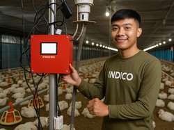 Saat Kandang Ayam Dilengkapi Sensor IoT