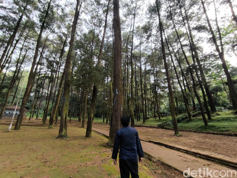 Suasana Objek Wisata 1001 Tangga Manguntapa Kuningan