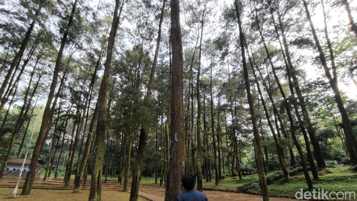 Suasana Objek Wisata 1001 Tangga Manguntapa Kuningan
