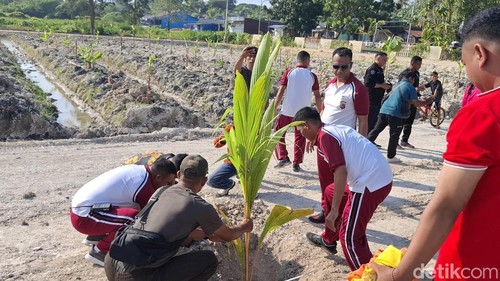 TNI-Polri bersinergi menanam sejumlah anakan pohon di Mapolres Kupang, NTT, Kamis (26/6/2026). (Yufengki Bria/detikBali).
