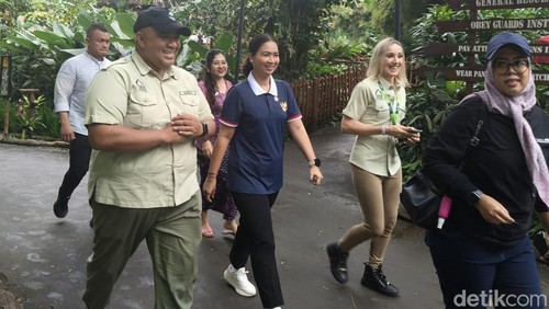 Wakil Menteri Pariwisata (Wamenpar) Ni Luh Puspa saat meninjau The Amazing Taman Safari Bali, Kamis (26/6/2025). (Foto: Ni Made Lastri Karsiani Putri/detikBali)