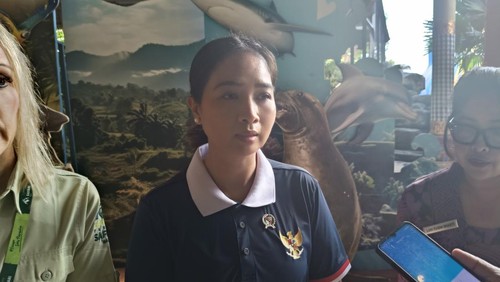 Wamenpar Ni Luh Puspa saat dijumpai seusai melakukan peninjauan di The Amazing Taman Safari Bali, Kamis (26/6/2025). (Ni Made Lastri Karsiani Putri/detikBali)