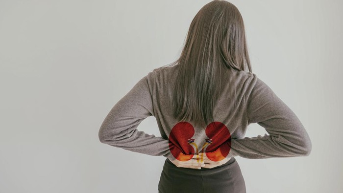Back view of woman suffering from lower back pain with kidney shape, chronic kidney disease, renal failure concept