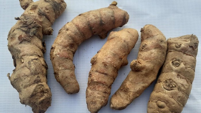 Daftar Manfaat Kunyit Putih untuk Kesehatan, Baik untuk Pencernaan-Pernapasan