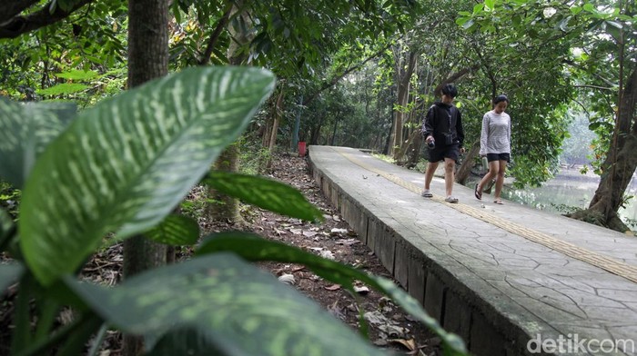 Warga berolahraga di Hutan Kota Srengseng, Jakbar, Jumat (27/6/2025). Pramono menginstruksikan Dinas Pertamanan untuk melakukan renovasi Hutan Kota Srengseng.