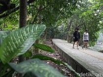Jadi Paru-paru Jakbar, Hutan Kota Srengseng Bakal Ditata
