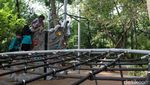 Jadi Paru-paru Jakbar, Hutan Kota Srengseng Bakal Ditata