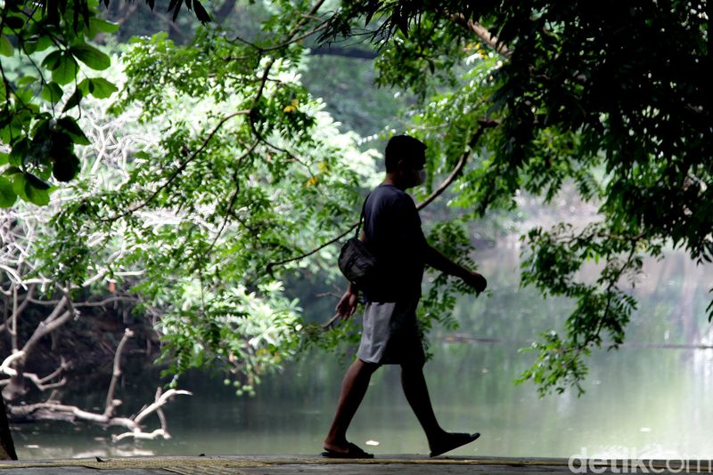 Warga berolahraga di Hutan Kota Srengseng, Jakbar, Jumat (27/6/2025). Pramono menginstruksikan Dinas Pertamanan untuk melakukan renovasi Hutan Kota Srengseng.