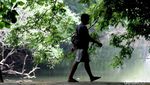 Jadi Paru-paru Jakbar, Hutan Kota Srengseng Bakal Ditata