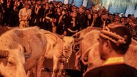 Kirab tersebut dalam rangka memperingati pergantian tahun baru Hijriah yang dalam penanggalan Jawa disebut Satu Sura. Foto: ANTARA FOTO /MOHAMMAD AYUDHA