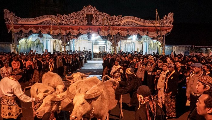 Kirab malam satu sura Keraton Kasunanan Solo Abdi dalem membawa kerbau bule peranakan pusaka kerbau Kyai Slamet untuk mengikuti kirab Satu Sura di Keraton Kasunanan, Solo, Jawa Tengah, Kamis (26/6/2025) malam. Kirab tersebut dalam rangka memperingati pergantian tahun baru Hijriah yang dalam penanggalan Jawa disebut Satu Sura. ANTARA FOTO/Mohammad Ayudha/bar