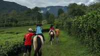 Liburan keluarga ala Yasmine ini bisa nih jadi ide traveler yang tak ingin jauh dari Jakarta, namun tetap membawa suasana berpetualang untuk anak-anak.