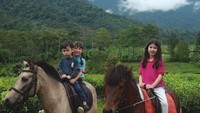 Lihatlah anak-anaknya bersemangat sekali naik kuda di sana.