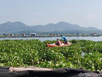 Sederet Problematika Pembudi Daya Ikan di Waduk Cirata