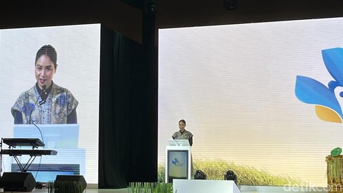 Wakil Menteri Ni Luh Enik Ermawati atau biasa disapa Ni Luh Puspa saat sambutan di acara Bali Wellenss and Beauty Expo 2025 di The Meru, Sanur, Denpasar, Jumat (27/6/2025).