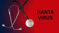 Kemenkes RI Ungkap Aktivitas Seperti Ini Berisiko Tularkan Hantavirus