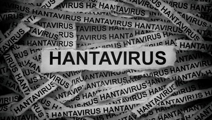 Strips of newspaper with the words Hantavirus typed on them. Black and white. Close up.