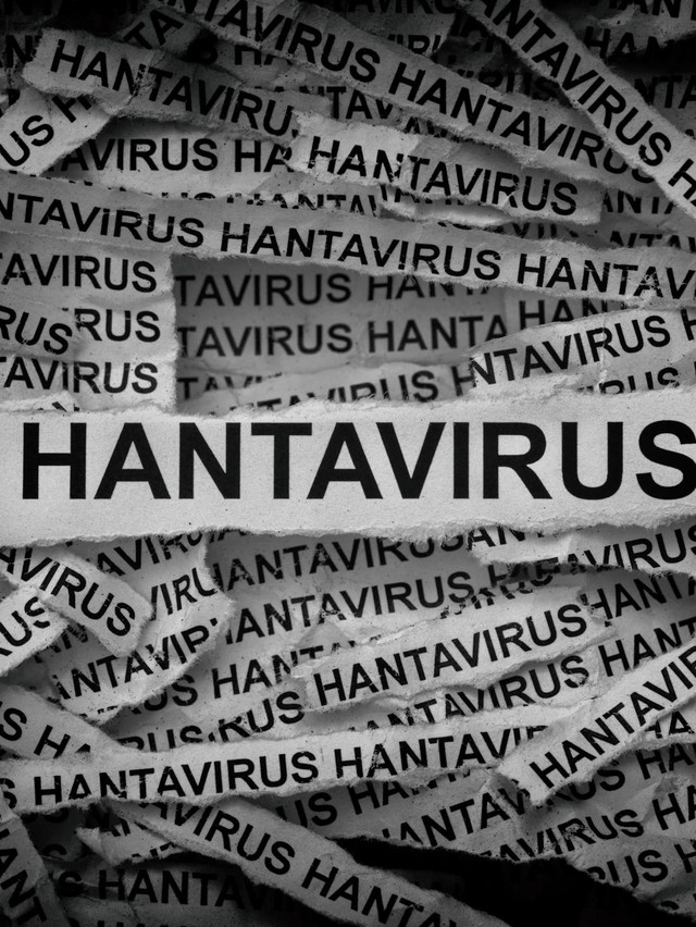 Hantavirus Ramai Lagi